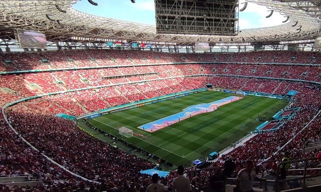 他的卓越天 他的卓越天