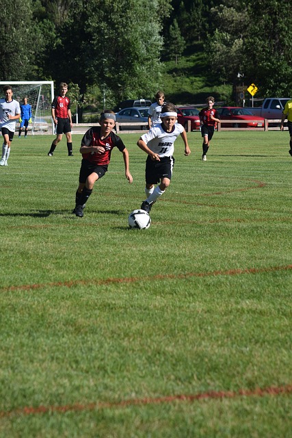 与体育组织 与体育组织