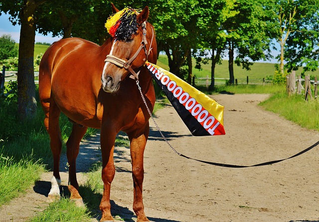 赛季横扫 赛季横扫