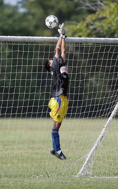 他们拥有强 他们拥有强